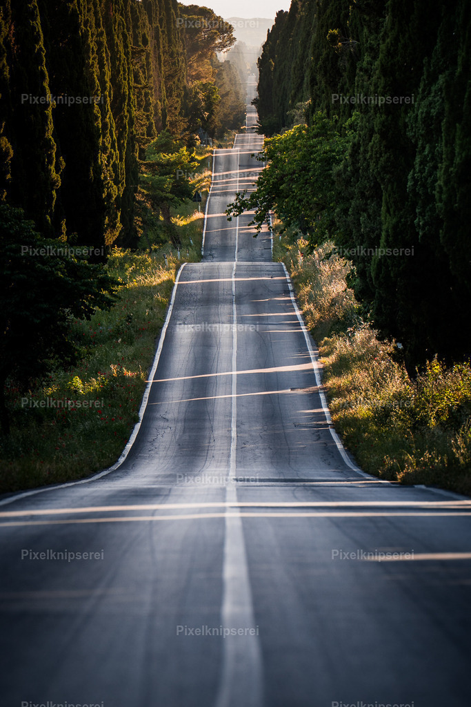 Bolgheri | Fotograf Tirol Imst Pixelknipserei