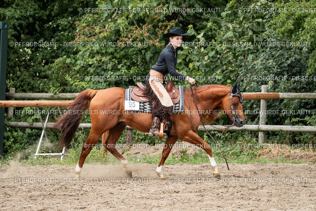 DSC02578 | Pferdegrafie