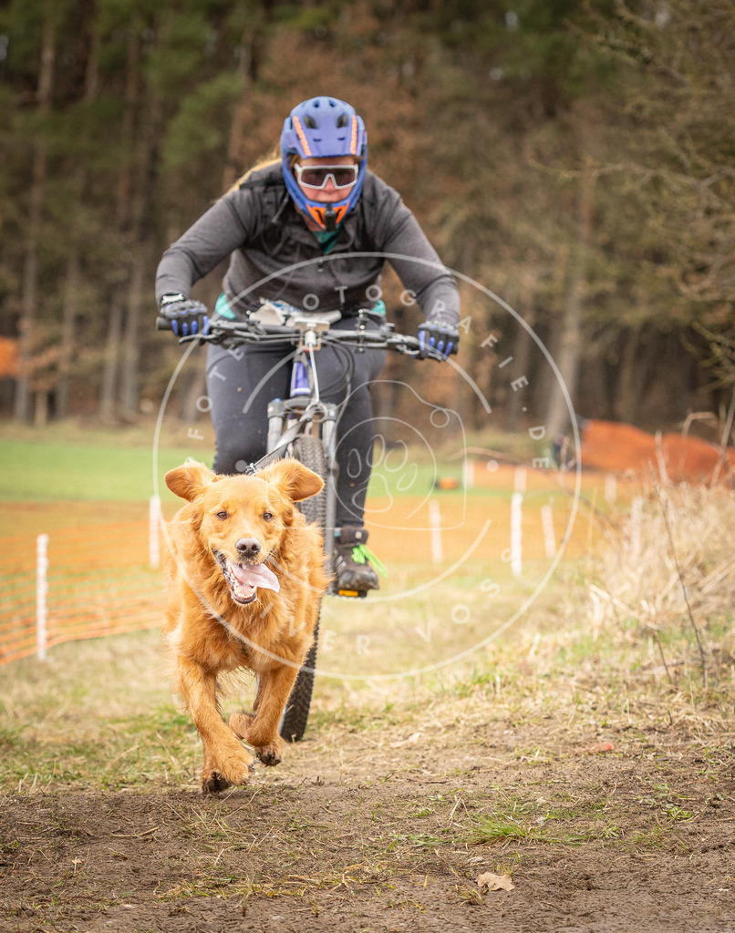 DV3A1113 | Hundefotografie, Tierfotograf, Pfotenfotografie, Fotoshooting Hund, Hunde Portrait, Hundesport, Hundeportraits, Heideshooting, Hunde, Sportfotograf, Hundefotograf, Turnierhundsport, THS,  - Realisiert mit Pictrs.com