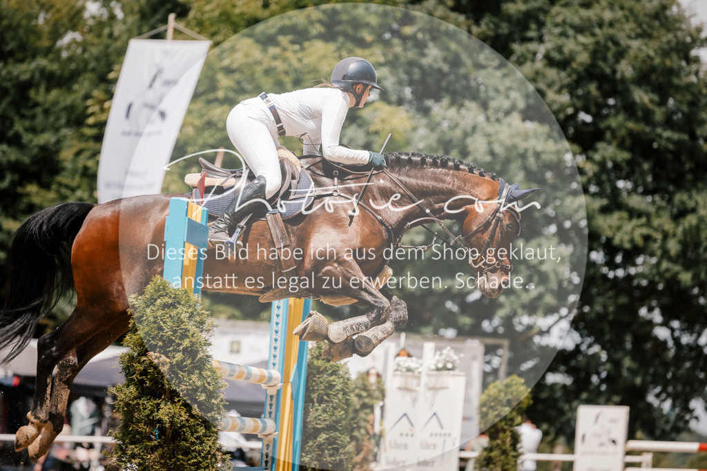 3I6A7905 | Stimmungsvolle Portraits und Reitsportfotografie im Ruhrgebiet und im Münsterland.

Pferdefotografie, Hundefotografie, Tierfotografie, Reportagen, Portraits von Tier und Mensch, Turnierfotografie in Bochum, Recklinghausen, Marl, Haltern am See, Dülmen.. - Realisiert mit Pictrs.com