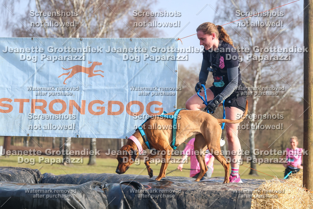 Dog Paparazzi - Strongdog North Mrz26-2360 | Dog Paparazzi Jeanette Grottendiek Fotografie & Videografie - Realisiert mit Pictrs.com