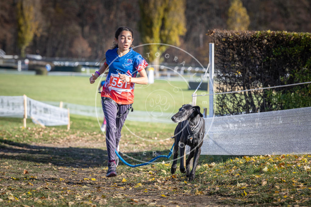 CaniXpix_DV3A8501 | Hundefotografie, Tierfotograf, Pfotenfotografie, Fotoshooting Hund, Hunde Portrait, Hundesport, Hundeportraits, Heideshooting, Hunde, Sportfotograf, Hundefotograf, Turnierhundsport, THS,  - Realisiert mit Pictrs.com
