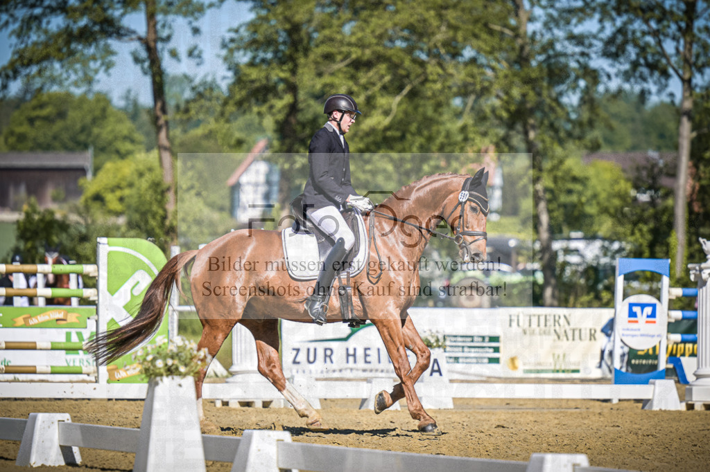 DOS_7003 | Entdecke hochwertige Reitturnierfotos von Foto Oger. Professionell, emotional und authentisch – jetzt Lieblingsmomente im Shop bestellen.Deutschlandweite Turnierfotografie. - Realisiert mit Pictrs.com