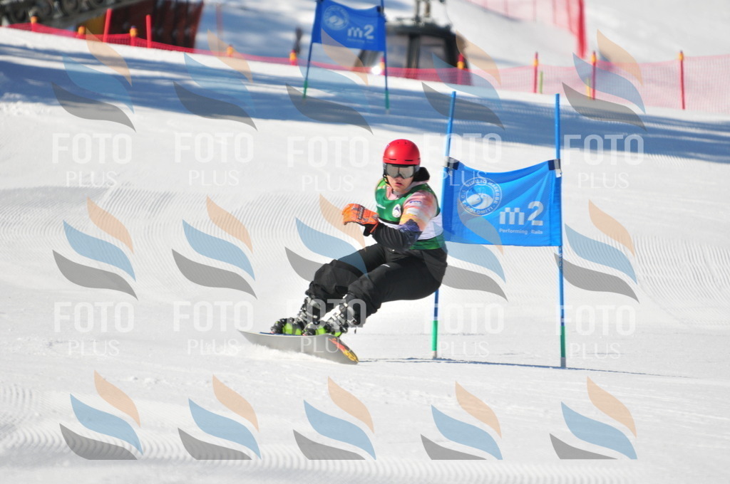 C1864 | holidayphoto