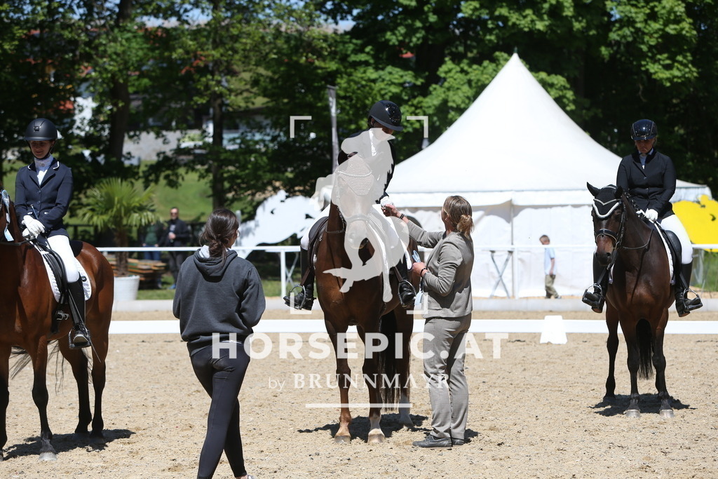 DL2Q0193 | Willkommen bei Brunnmayr - Design & Fotografie – Ihrem Spezialisten für Reitturniere und Pferdeveranstaltungen in Oberösterreich, Salzburg und Bayern! Seit über 17 Jahren sind wir leidenschaftlich dabei.