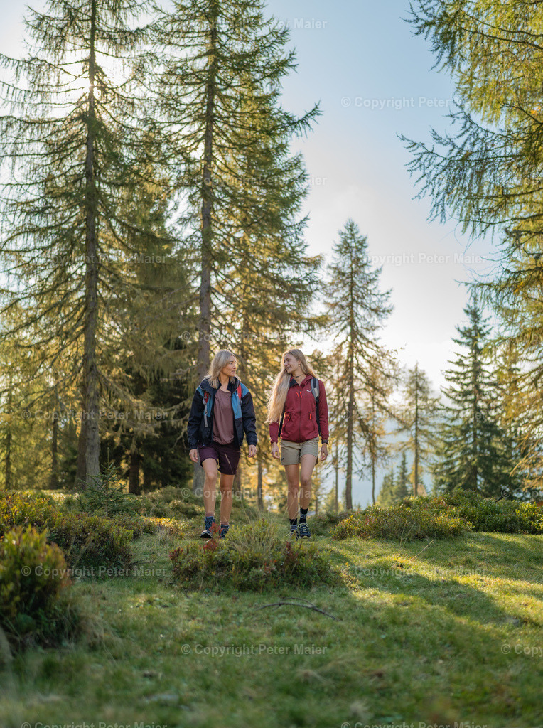 Roana_Alm_Erlebnisraum_Wald_23_Peter_Maier-719 | piet_flosse