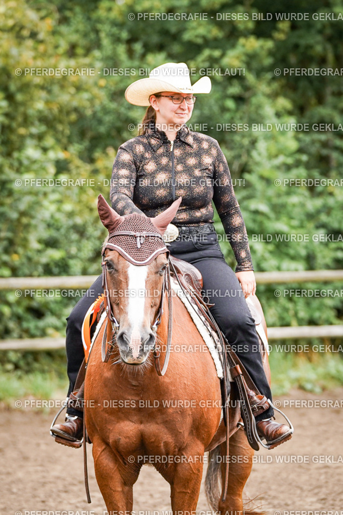 DSC03302 | Pferdegrafie