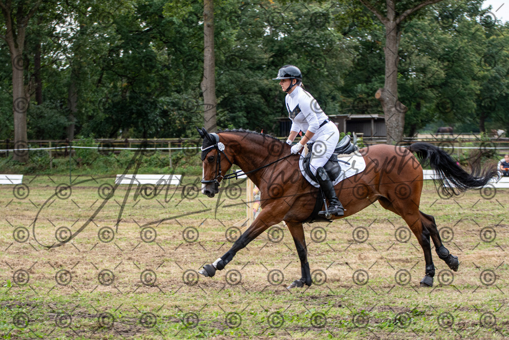 SHT_7636 | andre_photographic