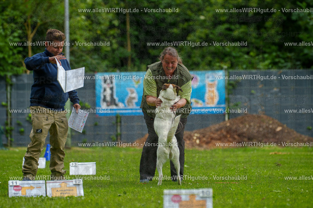 @allesWIRTHgut_Tierfotografie - www.allesWIRTHgut.de - 123251-7R509094 | Professionelle Tierfotografie in Mönchengladbach von Daniel Wirth (allesWIRTHgut). Liebevolle & natürliche Bilder von Hunden & Katzen für unvergessliche Erinnerungen.