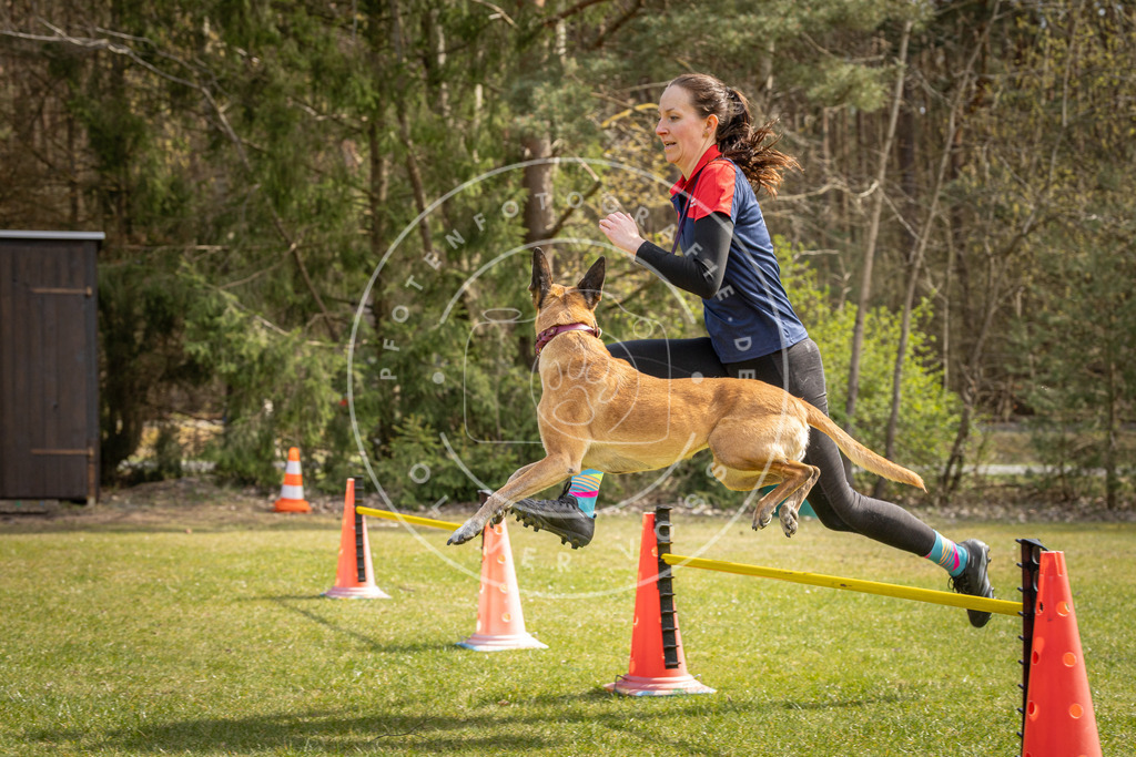 Pfotenfotografie_DV3A6441 | Hundefotografie, Tierfotograf, Pfotenfotografie, Fotoshooting Hund, Hunde Portrait, Hundesport, Hundeportraits, Heideshooting, Hunde, Sportfotograf, Hundefotograf, Turnierhundsport, THS,  - Realisiert mit Pictrs.com
