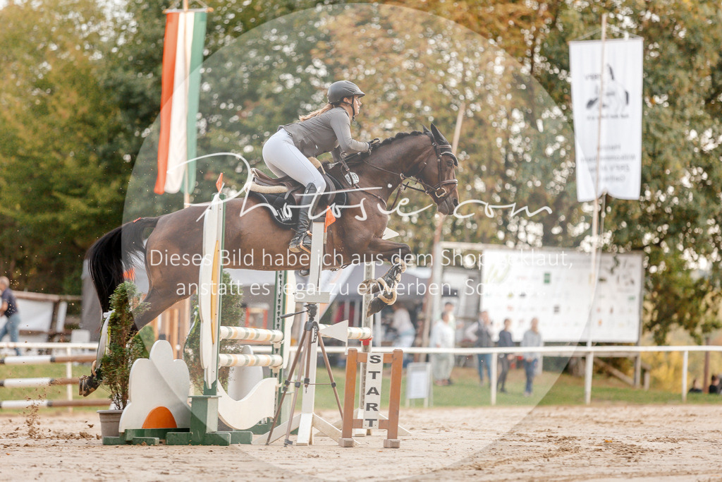 3I6A1644 | Stimmungsvolle Portraits und Reitsportfotografie im Ruhrgebiet und im Münsterland.

Pferdefotografie, Hundefotografie, Tierfotografie, Reportagen, Portraits von Tier und Mensch, Turnierfotografie in Bochum, Recklinghausen, Marl, Haltern am See, Dülmen.. - Realisiert mit Pictrs.com