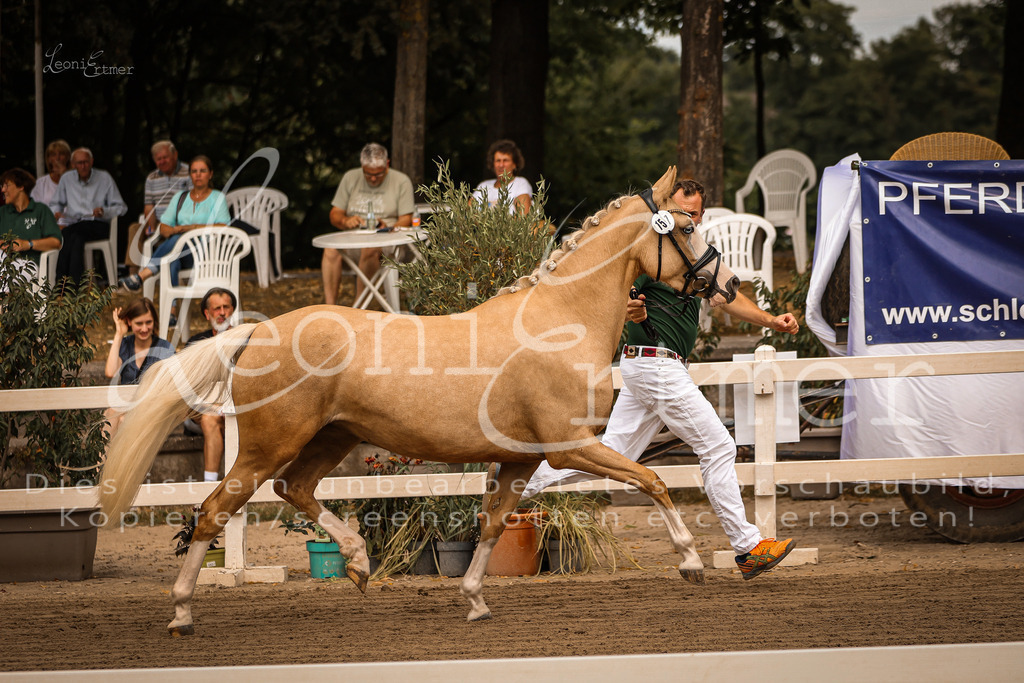 10.So00004 | Leoni Ertmer Photography - Realisiert mit Pictrs.com