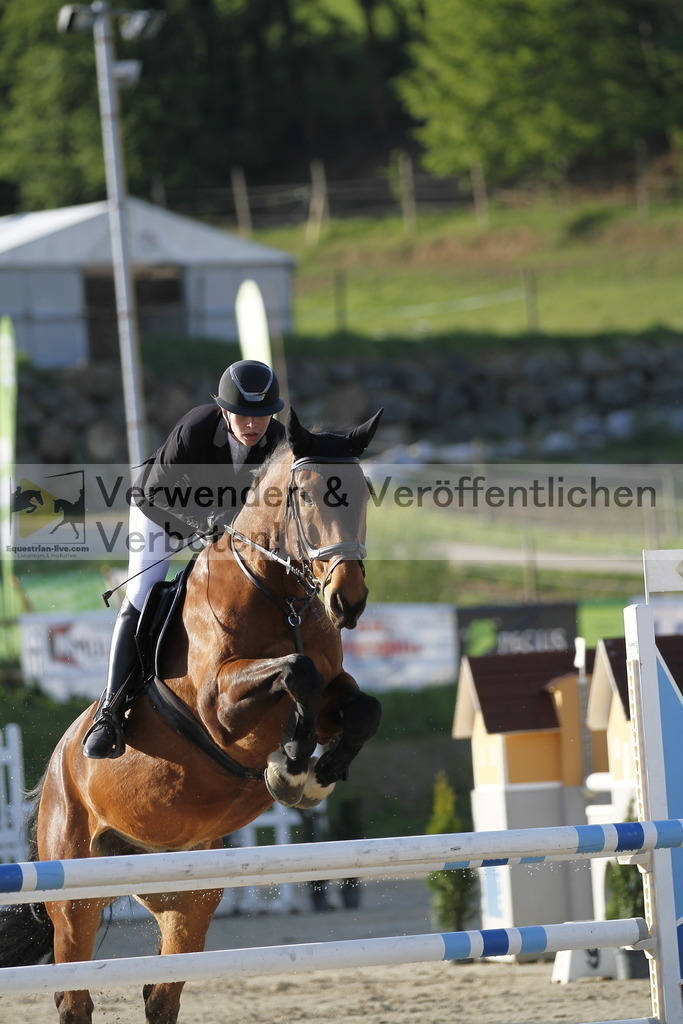 _MG_8453 | equestrian-live-com