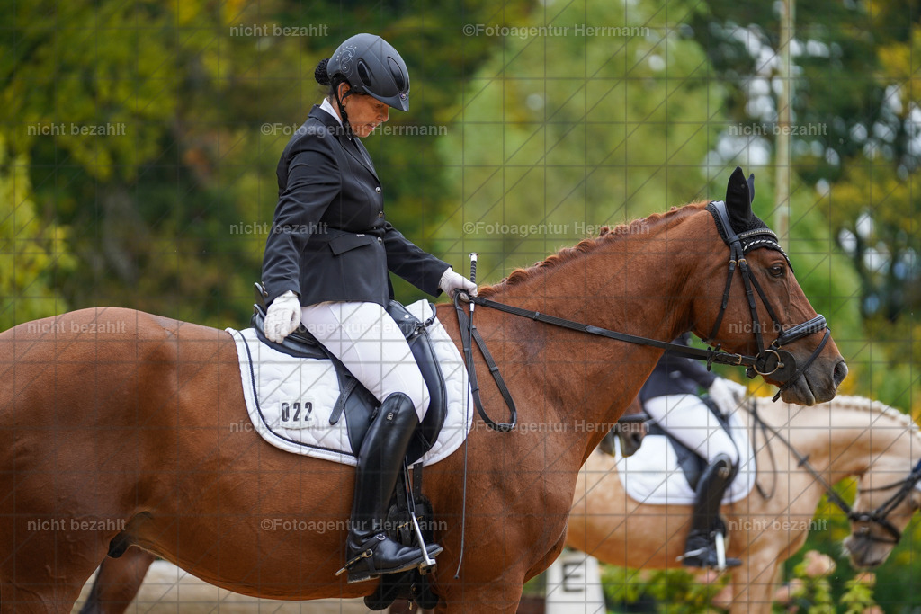 20221008-FAH01567 | Diessen am Ammersee, 2022, Dressur- und Springturnier, Reitsportbilder, Turnierfotografen Bayern, Pferdefotografen, Fotoagentur Herrmann, Turnierbilder
