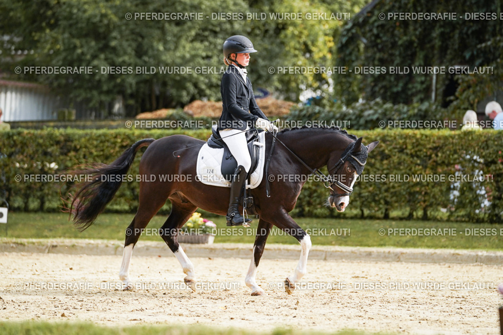 DSC04876 | Pferdegrafie