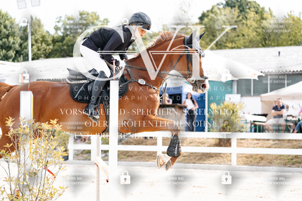 CK902020 | Turnierfotografie Pferdefotografie Trier Rheinland-Pfalz Pferdesport Reitsport Tierfotografie Sportfotografie Pferdevideo Pferdevideografie Equestrianvideography equestrianphotography  - Realisiert mit Pictrs.com