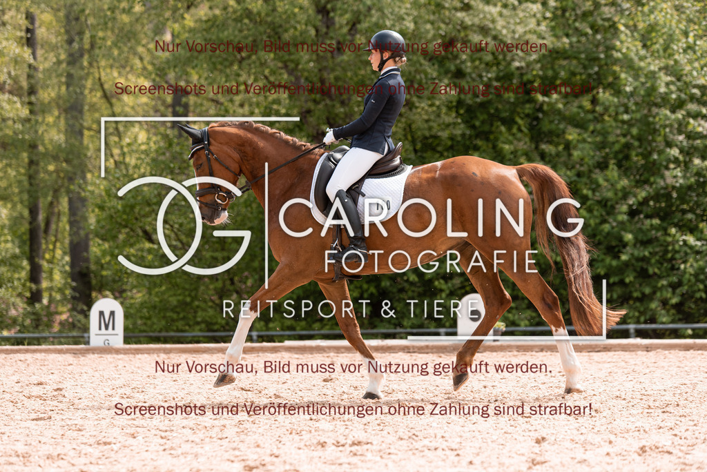 DSC_0214 | Turnierfotografin Carolin Gieschke, Turnierfotografie Carolin G Fotografie, Turnierfotos Kirchheim/Teck, Esslingen, Stuttgart, Bodenseekreis