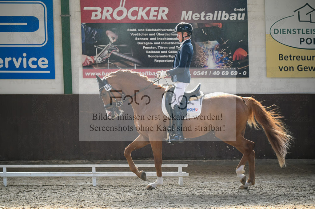 Reitturnier Voxtrup | Entdecke hochwertige Reitturnierfotos von Foto Oger. Professionell, emotional und authentisch – jetzt Lieblingsmomente im Shop bestellen.Deutschlandweite Turnierfotografie. - Realized with Pictrs.com