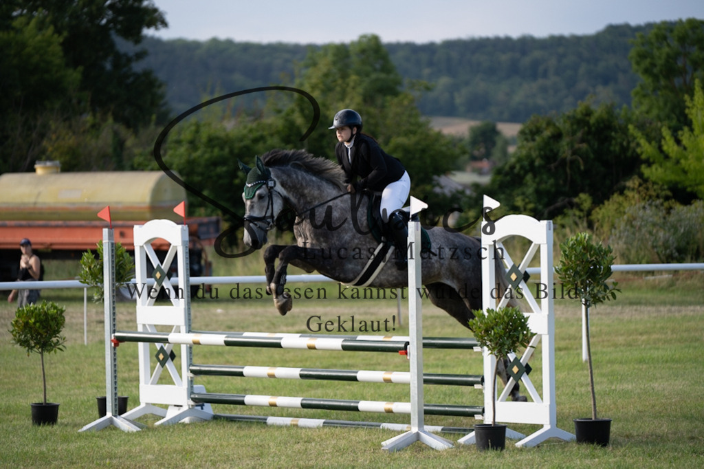 A7V01185 | Pferdefotograf