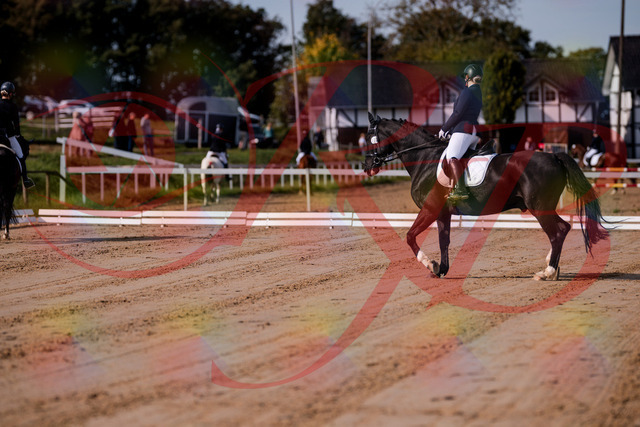 2026_10_03_Siefer-Hof_113442_Z81_79430085 | Professionelle Reitsport-, Turnier- und Eventfotografie von Robert Broda. Galerien mit ausgewählten und bearbeiteten Bildern direkt online ansehen und bestellen.