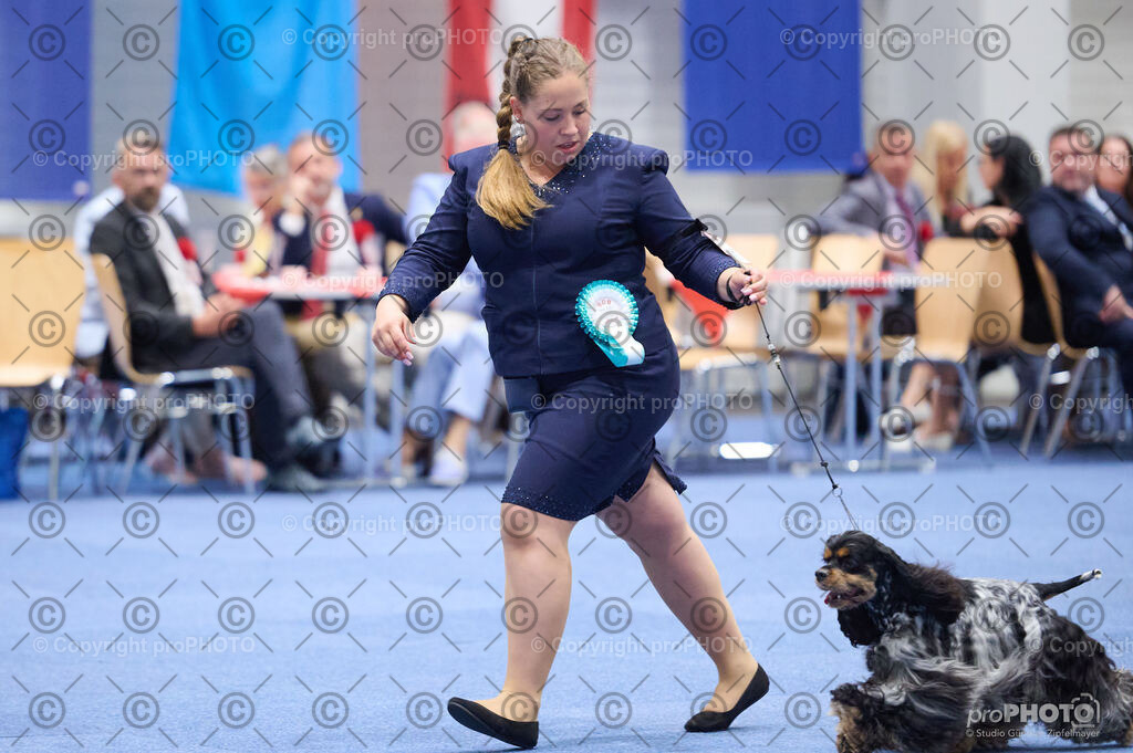 202406_ÖKV-IHA-Tulln24_DSC_3179 | proPHOTO - Realisiert mit Pictrs.com