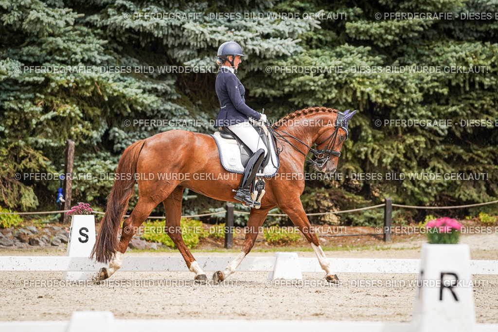 DSC05085 | Pferdegrafie