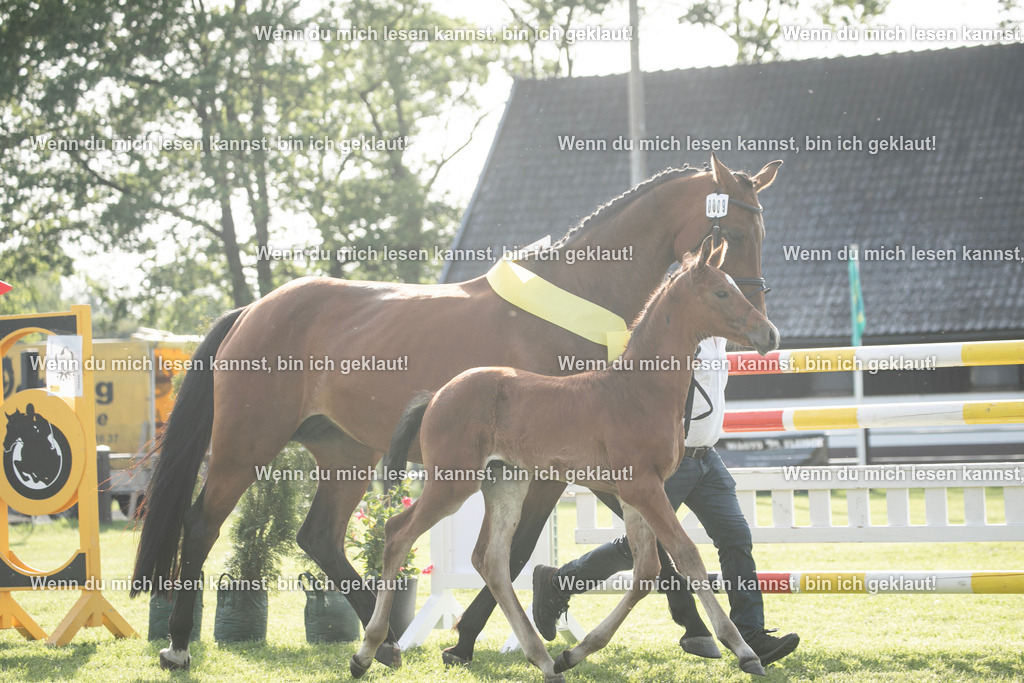 598A7162 | photographylinaismer - Realisiert mit Pictrs.com