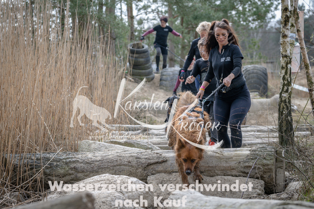 1221DSC_1367 | kk-dogfotos