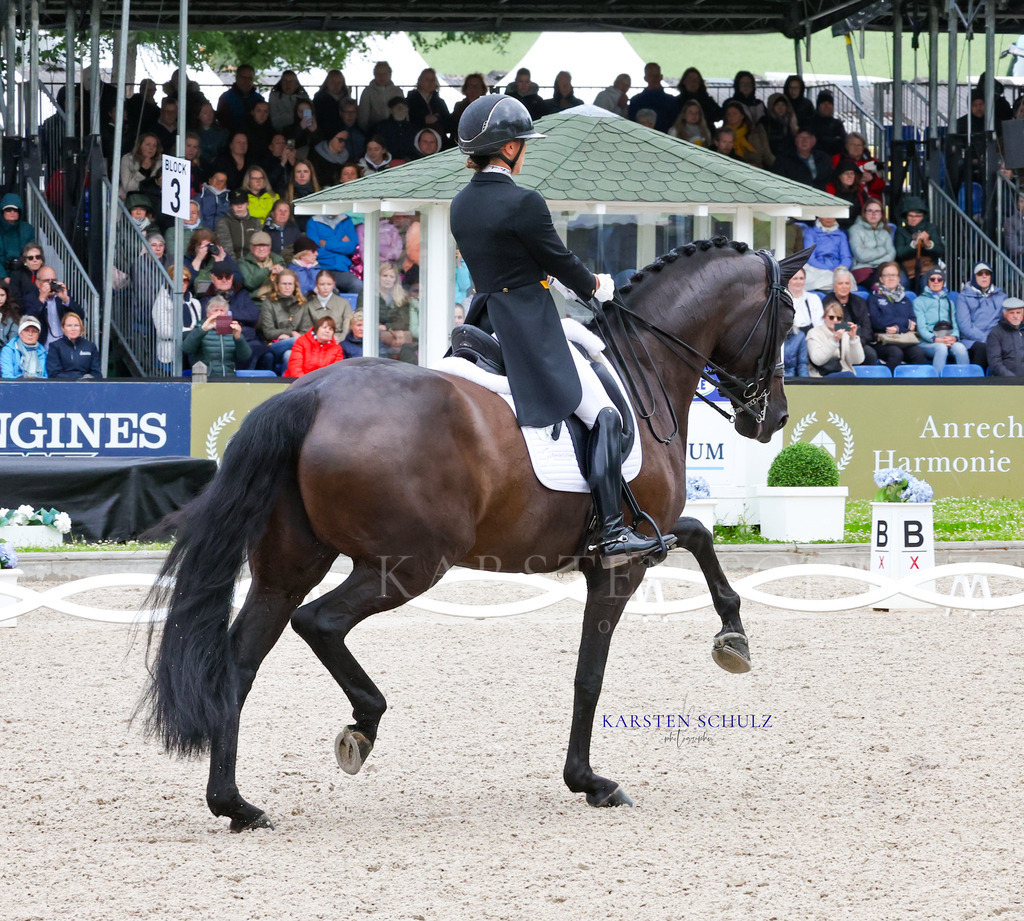 1B3A8044 | Reitsport Reiten
