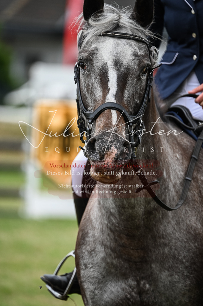DSC_8552 | Pferde- und Turnierfotografie in Westsachsen. Pferdeportraits, Auftragszeichnungen und intuitive Kunst.