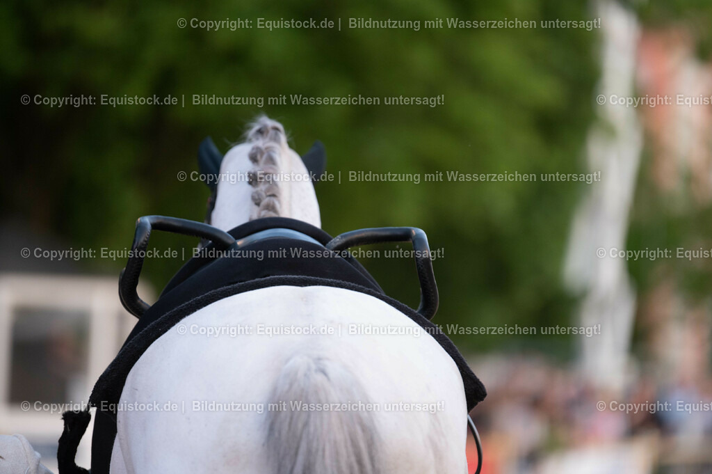 20230527_Voltigieren_NASPA_Flutlicht_0067 | equistock
