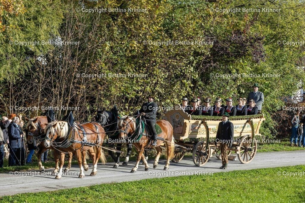 LBT24-427 | foto-bettina-krinner - Realisiert mit Pictrs.com