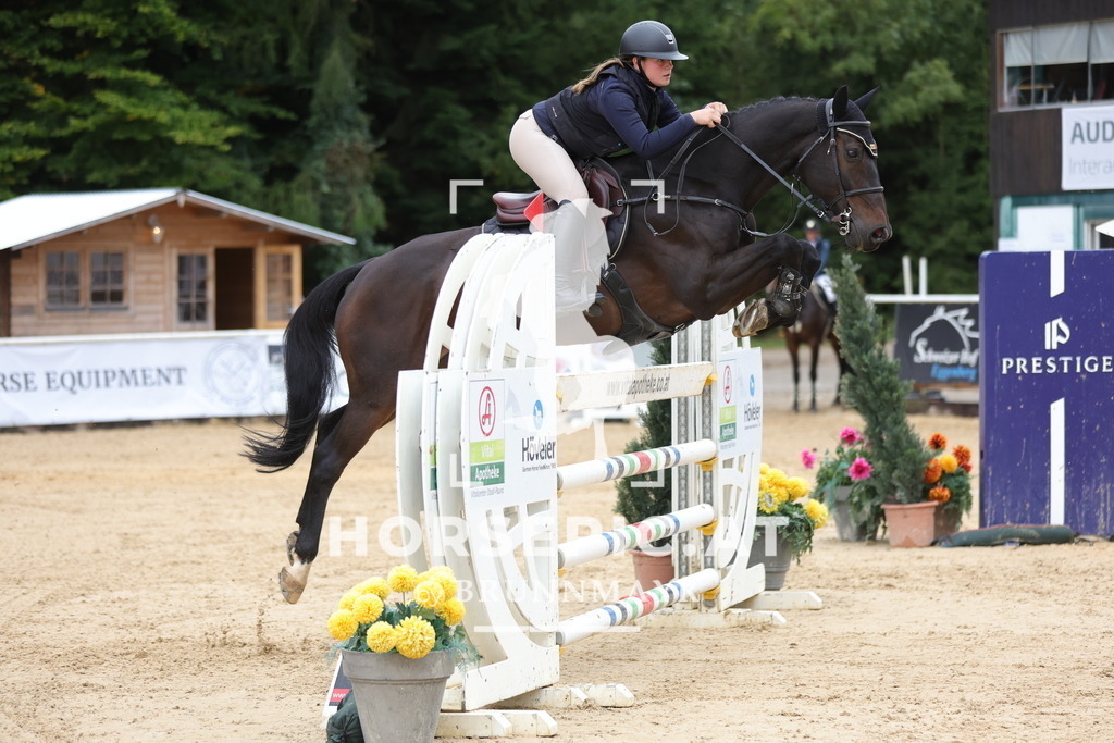 0P6A8949 | Willkommen bei Brunnmayr - Design & Fotografie – Ihrem Spezialisten für Reitturniere und Pferdeveranstaltungen in Oberösterreich, Salzburg und Bayern! Seit über 17 Jahren sind wir leidenschaftlich dabei.