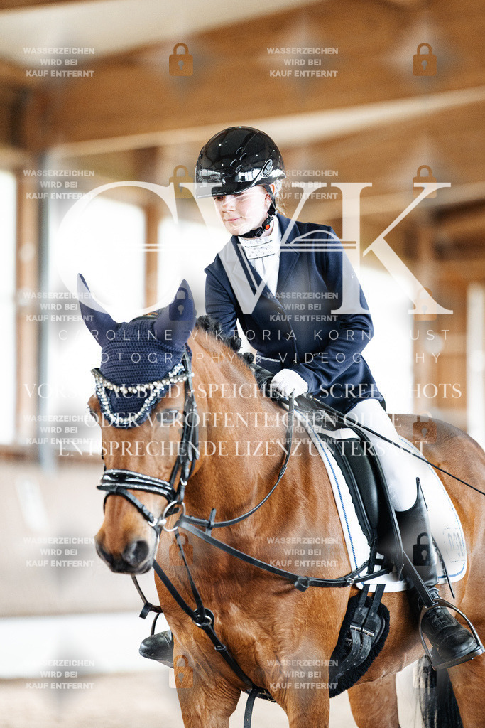 CK901604 | Turnierfotografie Pferdefotografie Trier Rheinland-Pfalz Pferdesport Reitsport Tierfotografie Sportfotografie Pferdevideo Pferdevideografie Equestrianvideography equestrianphotography  - Realisiert mit Pictrs.com