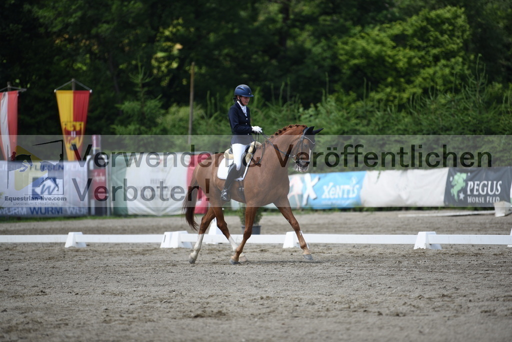 DSC_9321 | equestrian-live-com