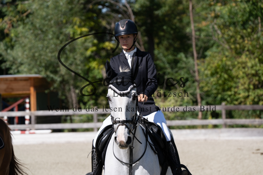 A7V07446 | Pferdefotograf