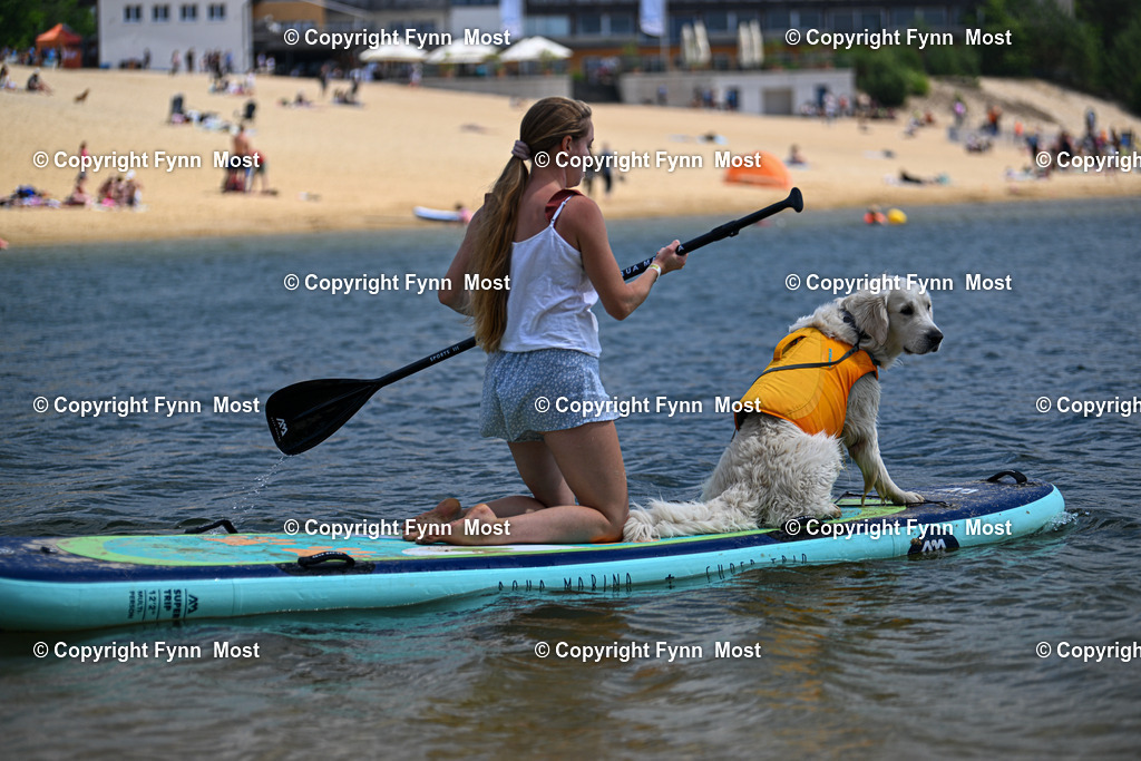 DSC_3520 | Hallo und herzlich Willkommen auf meiner Shop-Seite Fynn Most.

Ich wünsche Dir viel Spaß beim stöbern durch die Bilder, wenn Du Fragen hast oder Bilder vermisst, kannst du mir gerne eine Nachricht schreiben. - Realisiert mit Pictrs.com