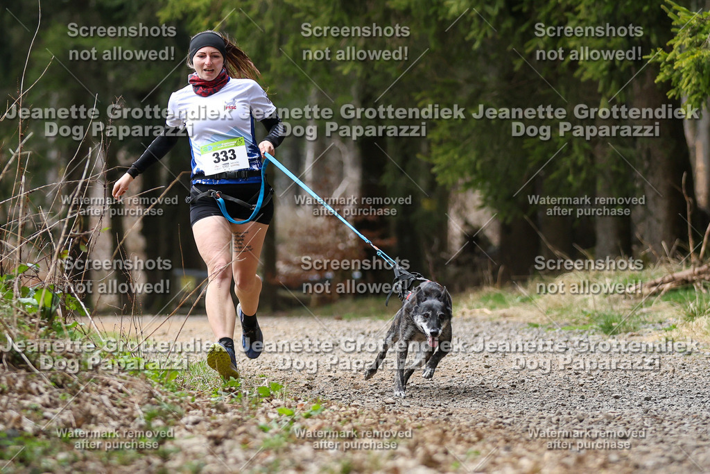 Dog Paparazzi - VCC26-478 | Dog Paparazzi Jeanette Grottendiek Fotografie & Videografie - Realisiert mit Pictrs.com