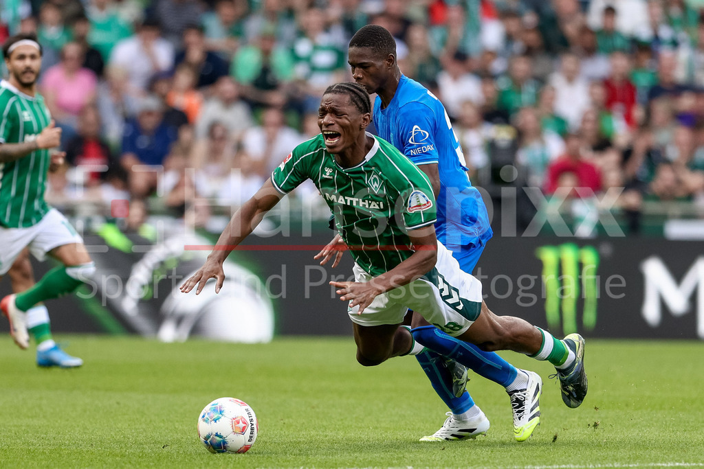 Fussball, Bundesliga, SV Werder Bremen - Bayer 04 Leverkusen | v.li.: Skelly Alvero (SV Werder Bremen, 28) und Christian Kofane (Bayer 04 Leverkusen, 35) im Zweikampf, Duell, Dynamik, Aktion, Action, Spielszene, DIE DFL-RICHTLINIEN UNTERSAGEN JEGLICHE NUTZUNG VON FOTOS ALS SEQUENZBILDER UND/ODER VIDEOÄHNLICHE FOTOSTRECKEN. DFL REGULATIONS PROHIBIT ANY USE OF PHOTOGRAPHS AS IMAGE SEQUENCES AND/OR QUASI-VIDEO.