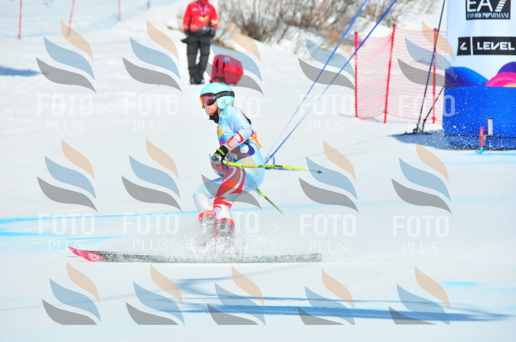 DSC_4756 | holidayphoto