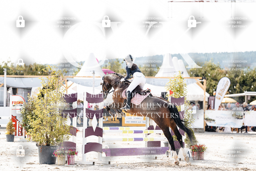 CK905595 | Turnierfotografie Pferdefotografie Trier Rheinland-Pfalz Pferdesport Reitsport Tierfotografie Sportfotografie Pferdevideo Pferdevideografie Equestrianvideography equestrianphotography  - Realisiert mit Pictrs.com