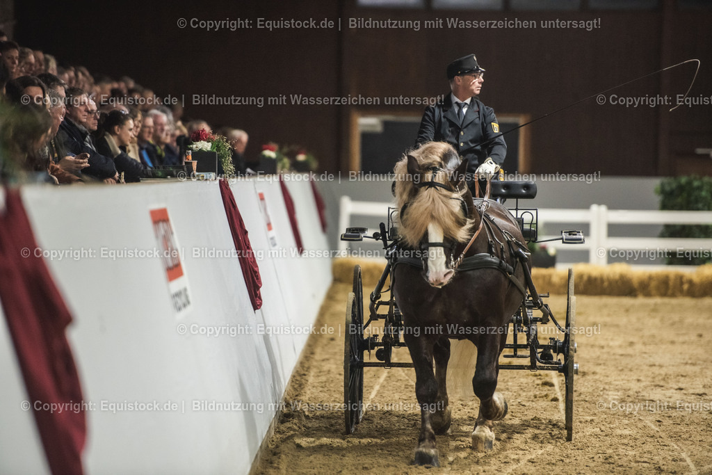 20240302_Hengstvorstellung_Marbach_TOMsPiC_0623 | equistock