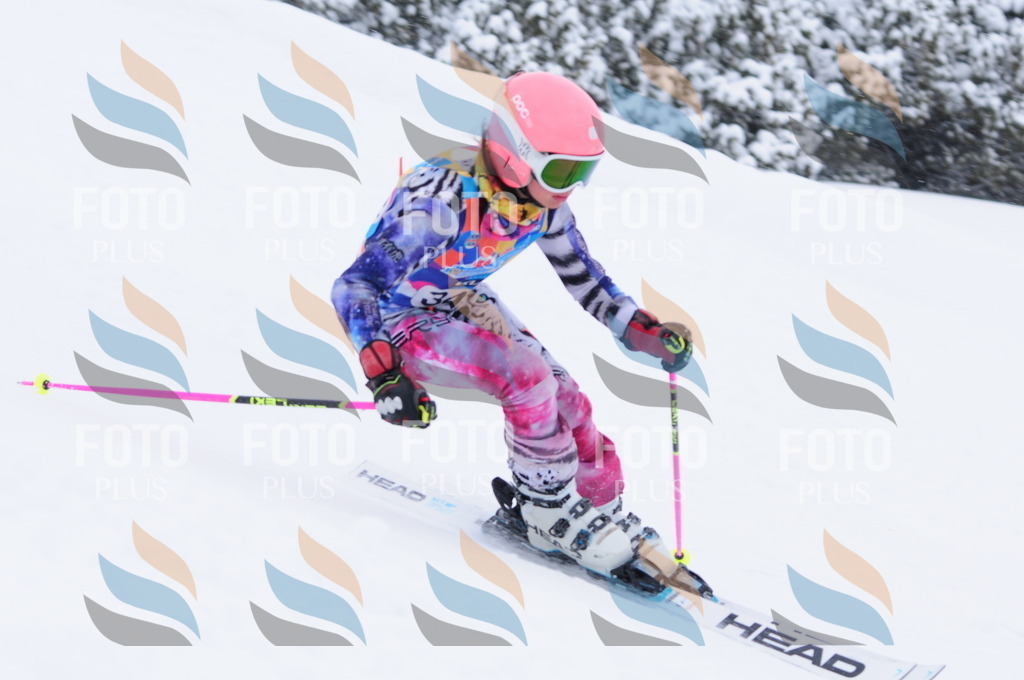 C3670 | holidayphoto