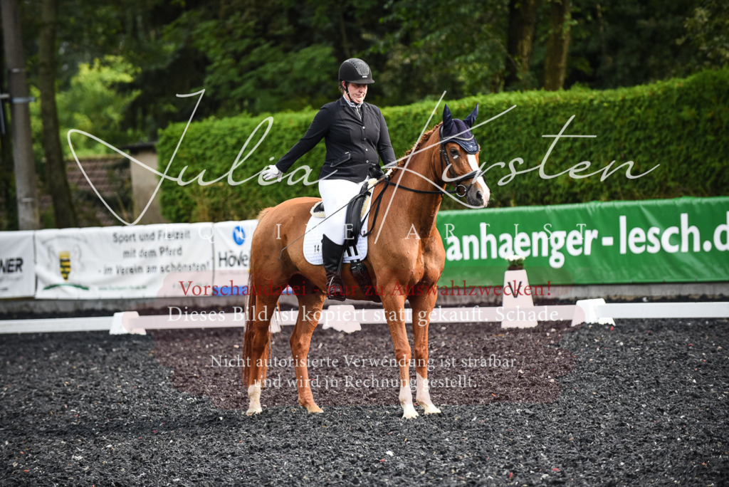 DSC_3044 | Pferde- und Turnierfotografie in Westsachsen. Pferdeportraits, Auftragszeichnungen und intuitive Kunst.