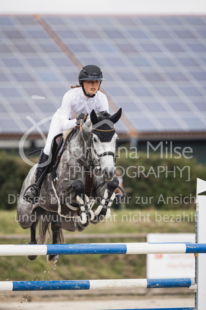 250628_PfSpTa_Youngster-S-410 | Deine schönsten Turniermomente als professionelle Fotos! Entdecke hochwertige Pferdesport-Fotografie im Online-Shop. Jetzt Fotos finden & bestellen!