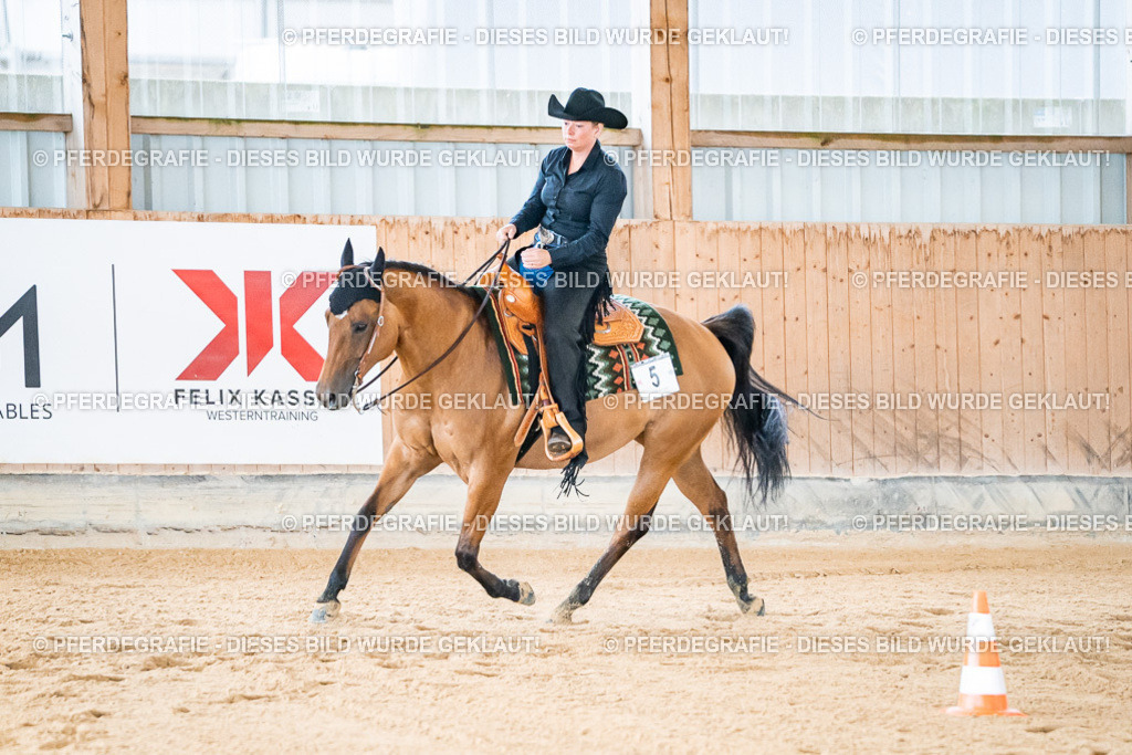 DSC01868 | Pferdegrafie