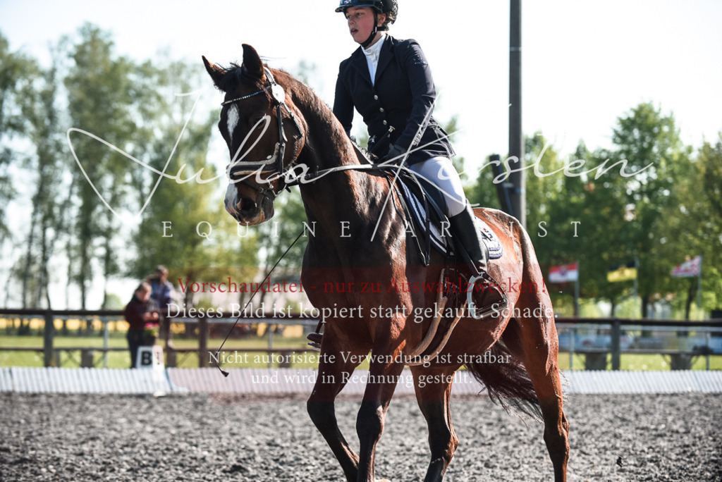 DSC_8301 | Pferde- und Turnierfotografie in Westsachsen. Pferdeportraits, Auftragszeichnungen und intuitive Kunst.
