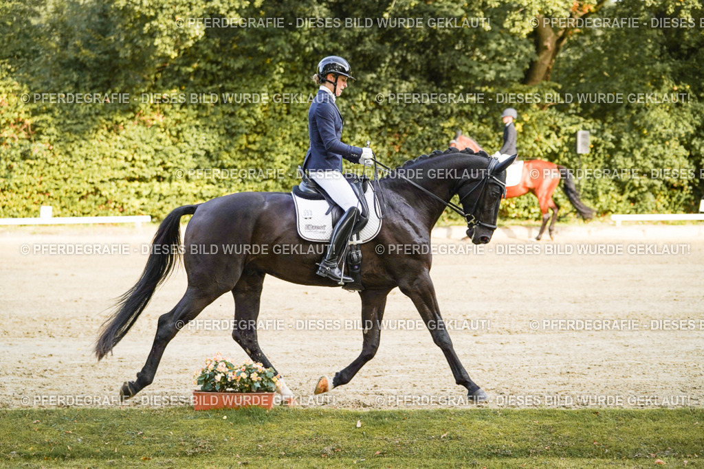 DSC04741 | Pferdegrafie