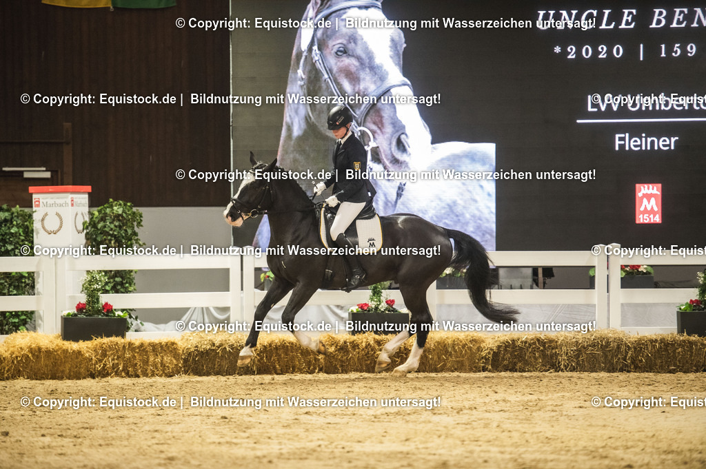 20240302_Hengstvorstellung_Marbach_TOMsPiC_0702-2 | equistock