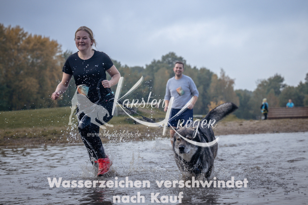 1145_ZZ96561 | kk-dogfotos